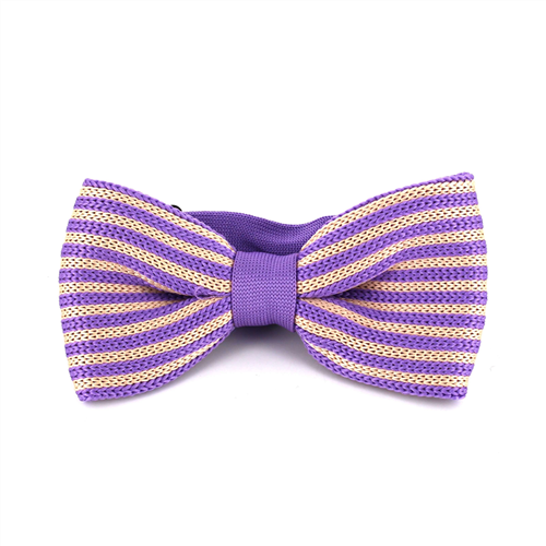 Papillon a Righe a Punto Viola e Beige