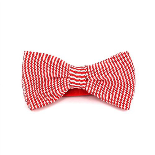Papillon a pois a righe rosso e bianco