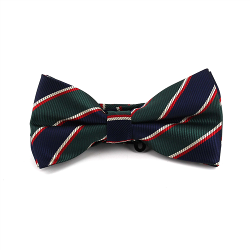 Papillon a righe blu scuro e verde
