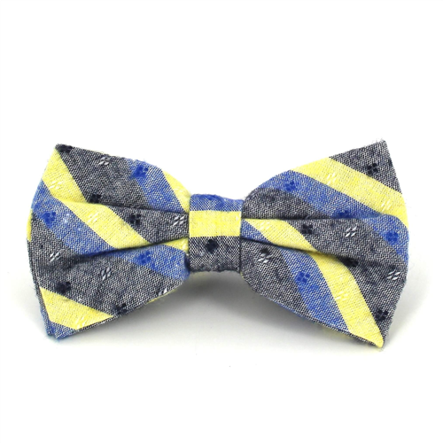 Papillon a Righe Grigio, Blu e Giallo