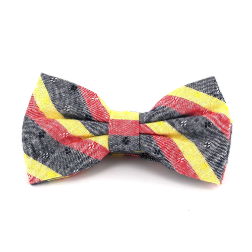 Papillon a Righe Grigio, Rosso e Giallo