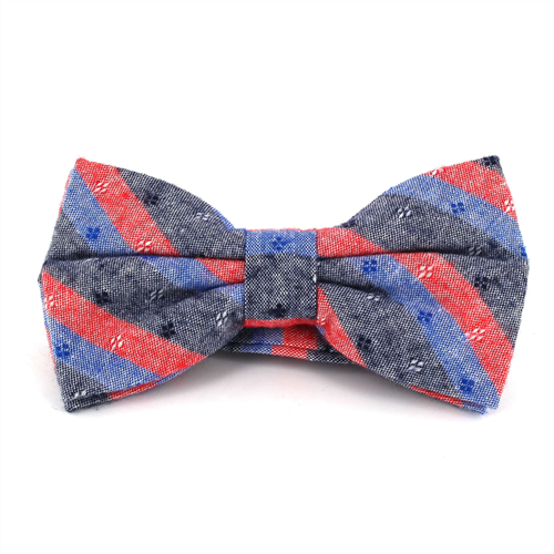 Papillon a Righe Grigio, Rosso e Blu