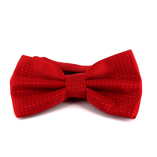 Papillon Rosso a Pois Rossi