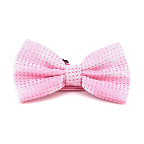 Papillon Rosa a Pois Rosa