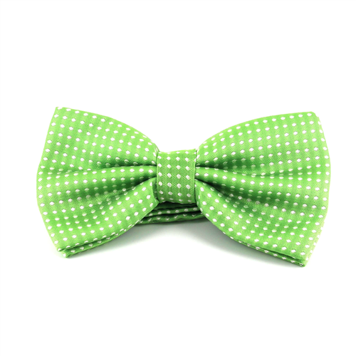 Papillon Verde a Pois Bianchi