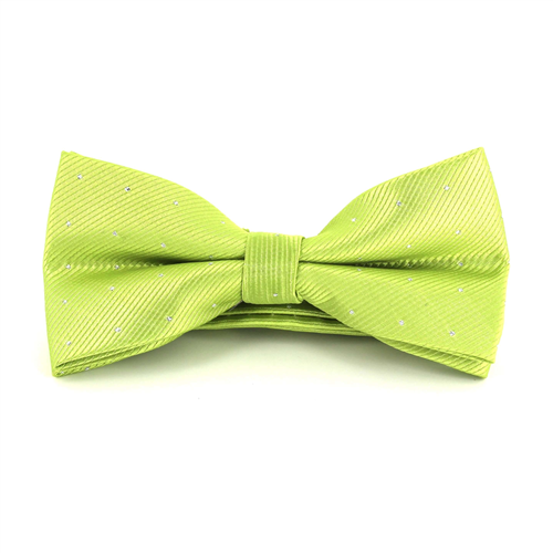 Papillon Verde a Pois Luminosi