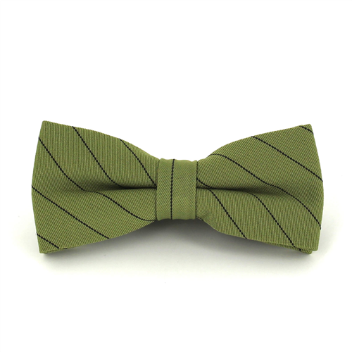 Papillon a righe verdi e nere