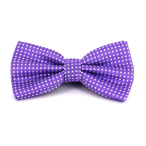 Papillon Viola a Pois Bianchi