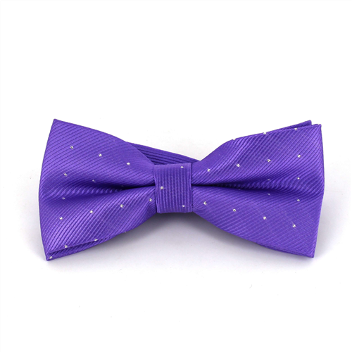 Papillon Viola a Pois Luminosi