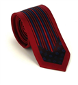 Cravatta Stretta Moderna Multicolore