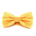 Papillon Giallo a Pois Bianchi
