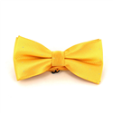 Papillon Giallo a Pois Luminosi