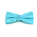 Papillon Blu Acqua a Pois Luminosi