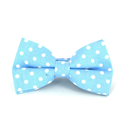 Papillon Blu a Pois Bianchi