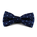 Papillon a pois blu celeste