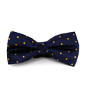 Papillon Blu a Pois Dorati