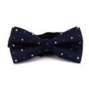 Papillon Blu a Pois Multicolore