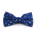 Papillon Blu a Pois Multicolore