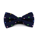 Papillon a pois blu multicolore
