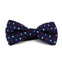 Papillon Blu a Pois Multicolore