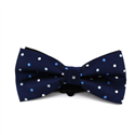 Papillon a pois blu multicolore