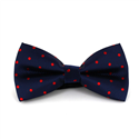 Papillon Blu a Pois Rossi