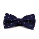 Papillon Blu a Pois Rosa