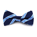 Papillon a righe blu navy e celeste