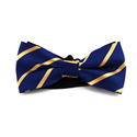Papillon Blu Navy a Righe Dorate