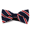 Papillon Blu Navy a Righe Rosse