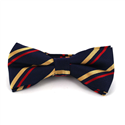 Papillon Blu Navy a Righe Rosse e Oro