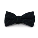 Papillon Blu Navy a Righe Verdi