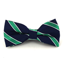 Papillon Blu Navy a Righe Verdi