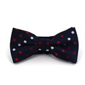 Papillon Blu Scuro a Pois Multicolori