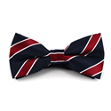 Papillon Blu Scuro a Righe Bordeaux