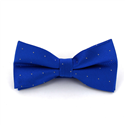 Papillon Blu a Pois Luminosi