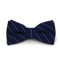 Papillon Blu a Righe Bianche