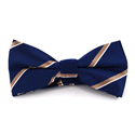 Papillon a Righe Blu con Righe Dorate e Bianche