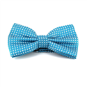 Papillon Blu Turchese a Pois Bianchi