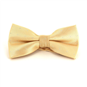 Papillon Beige a Pois Luminosi