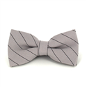 Papillon Beige Righe Nere