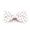Papillon Bianco a Pois Arancioni