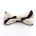 Papillon Bianco a Righe Blu e Rosso