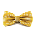 Papillon Champagne a Pois Bianchi