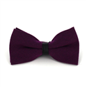 Papillon Cheviot Viola