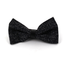 Papillon nero Cheviot