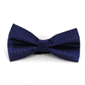 Papillon Quadretti Blu Scuro