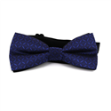 Papillon a Quadri Blu