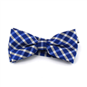 Papillon a Quadri Blu e Bianco