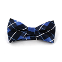 Papillon a Quadri Blu